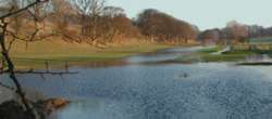 The Petham Nailbourne Flowing at Kenfield